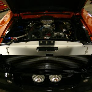 67-68 Mustang "Eleanor" Show Panels