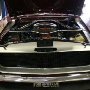 67-68 Mustang Show Panels